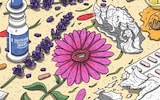 Hayfever guide