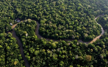 An aerial view of the Amazon rainforest in Brazil, taken from the air