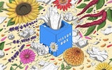 Hay fever illustration