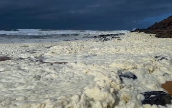 Foam washing up on the beach in Waitpinga, near Adelaide