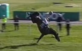 Broadway Boy and his jockey Tom Bellamy go down at the 25th fence while leading the Grand National