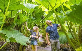 Trebah Gardens best gardens in Cornwall