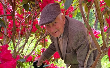 Mackie among his rhododendron blossoms