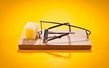 Mousetrap with hard cheese isolated on yellow, side view