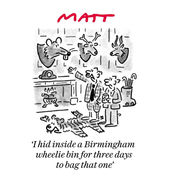 Matt cartoon