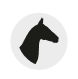 Grand National free bets