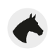 Grand National each-way places
